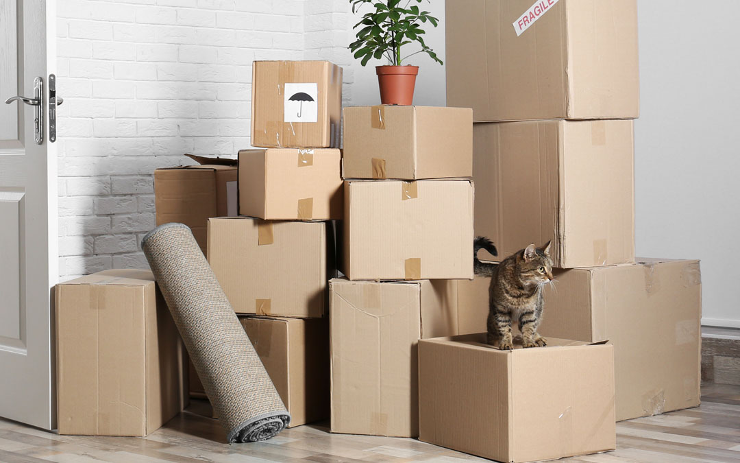 Home Moving Company