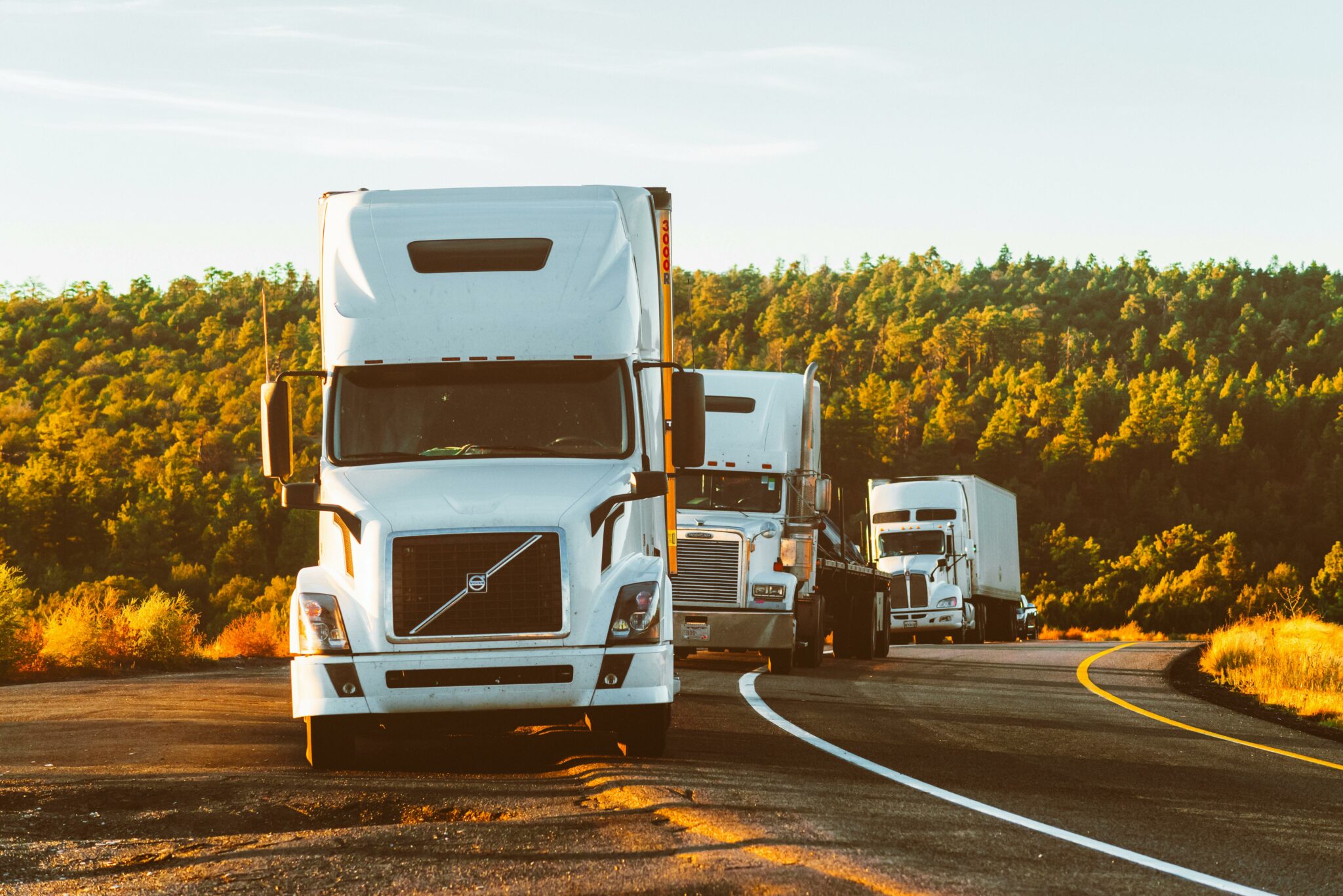 Long Distance Movers